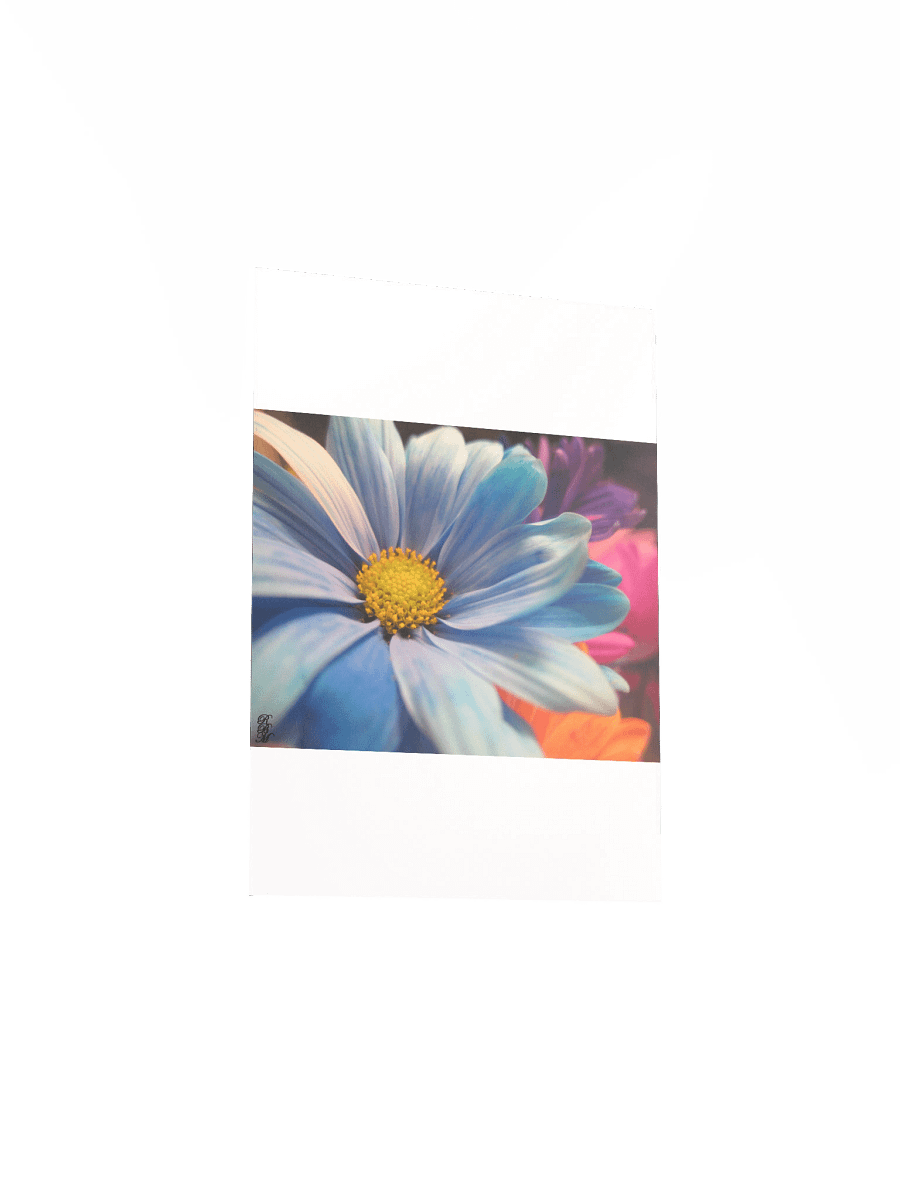 Colorful Flowers product image (24)