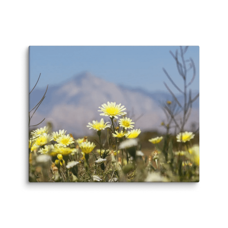 Canvas Print - Wildflowers with Mountains