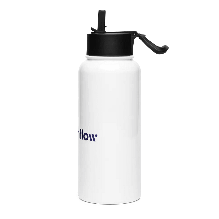 Stainless Steel Water Bottle with a Straw Lid product image (3)