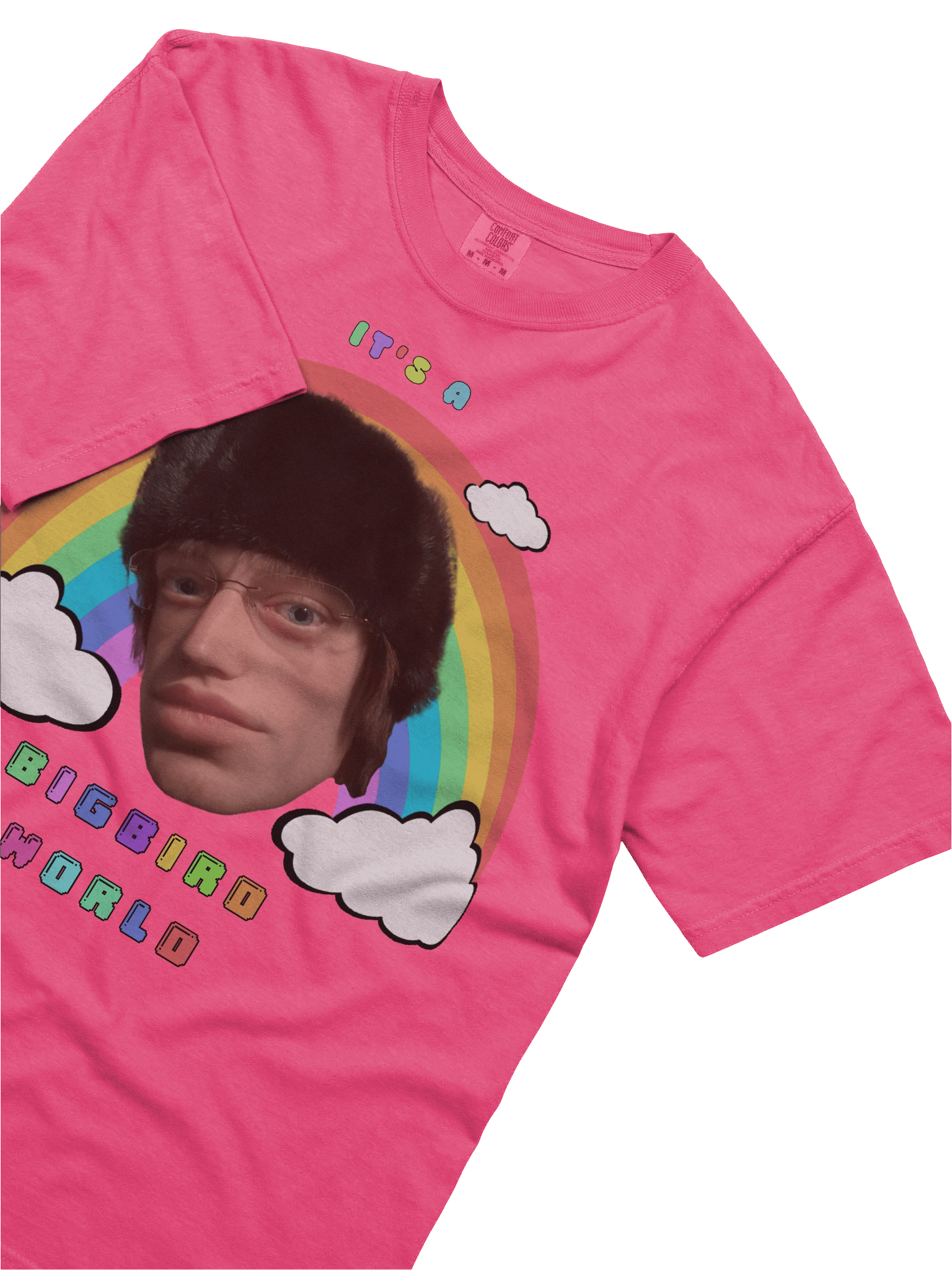 "IT'S A BIGBIRDWORLD" T-SHIRT product image (3)