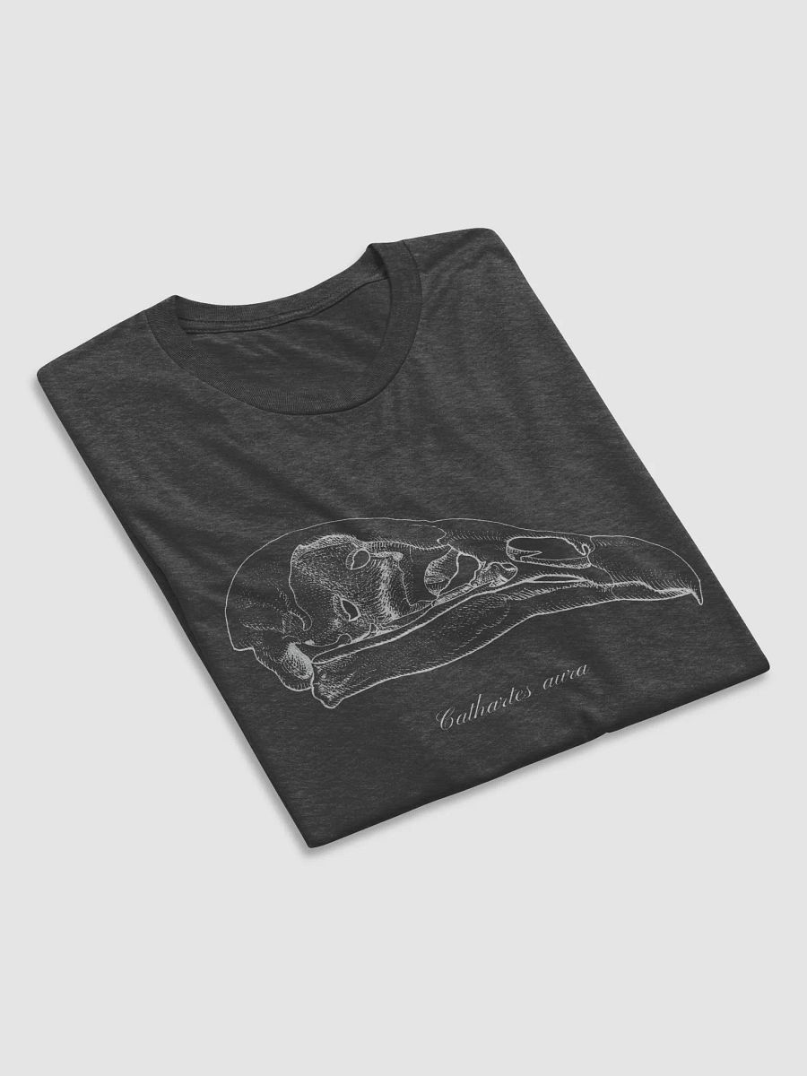 Turkey Vulture Skull product image (23)