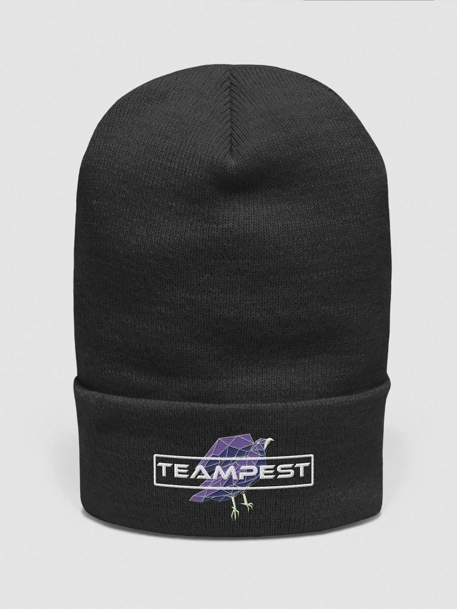 TeamPEST Black Beanie product image (1)