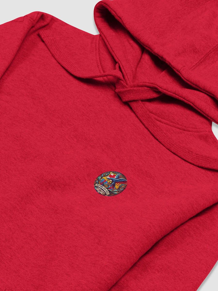 SUDADERA CAPUCHA FCBUTV GRANATE product image (3)
