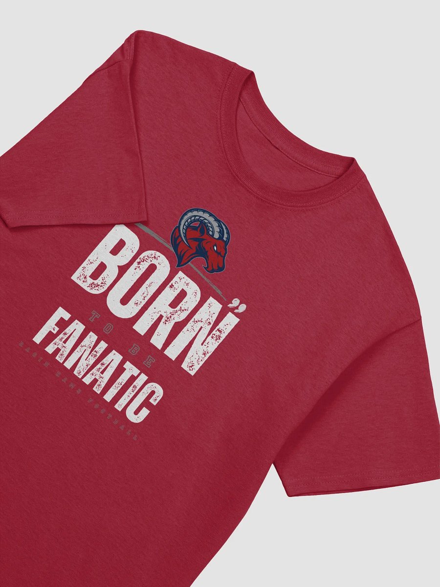 Rochester Ragin Rams T-Shirt by Gildan 