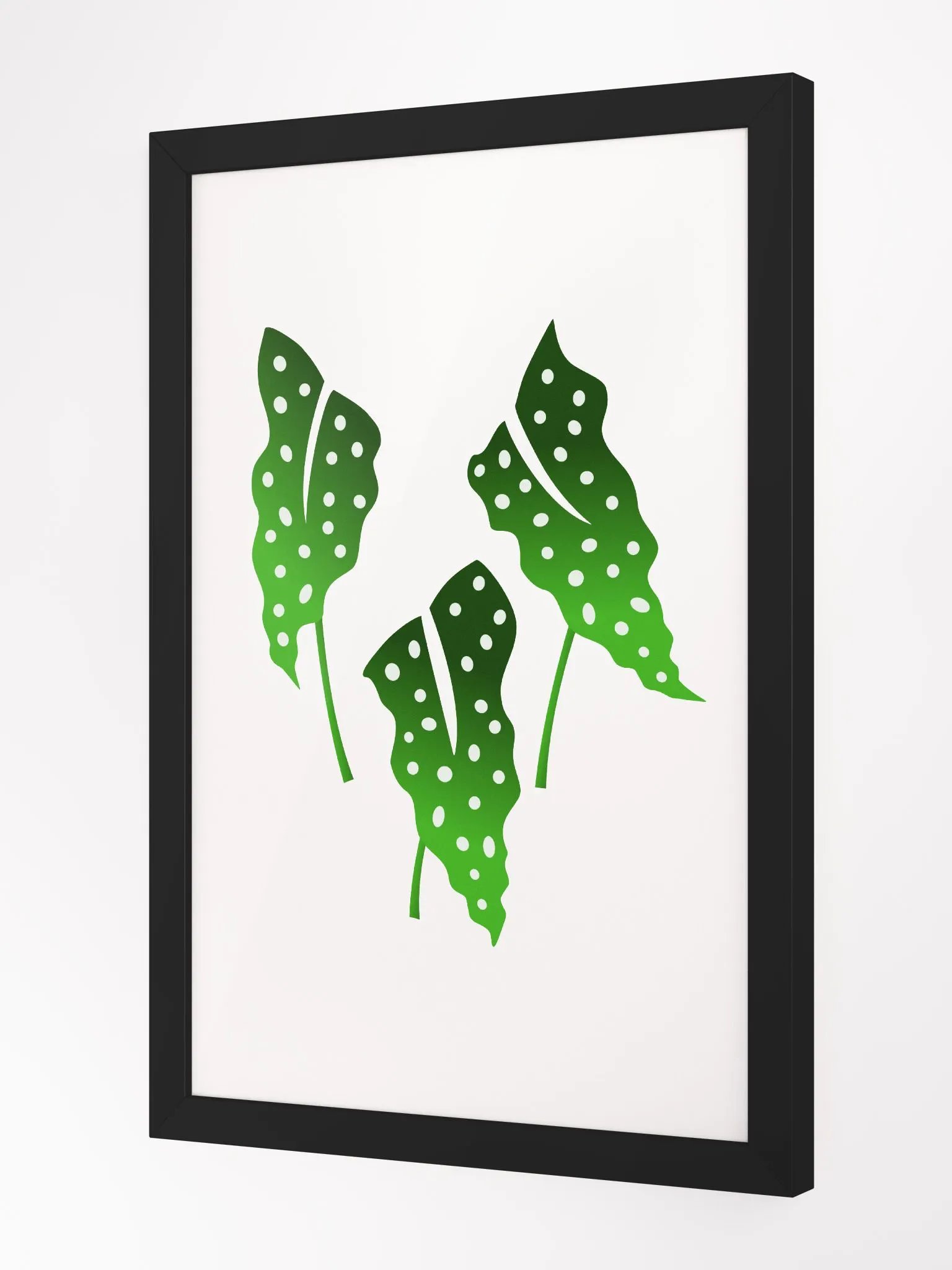 Polka Dotb Begonia Leaves product image (4)