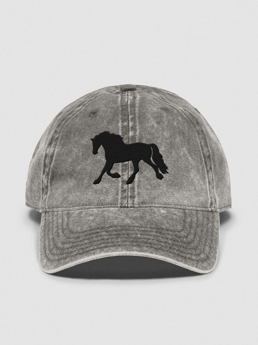 Moriesian Vintage Wash Hat product image (2)