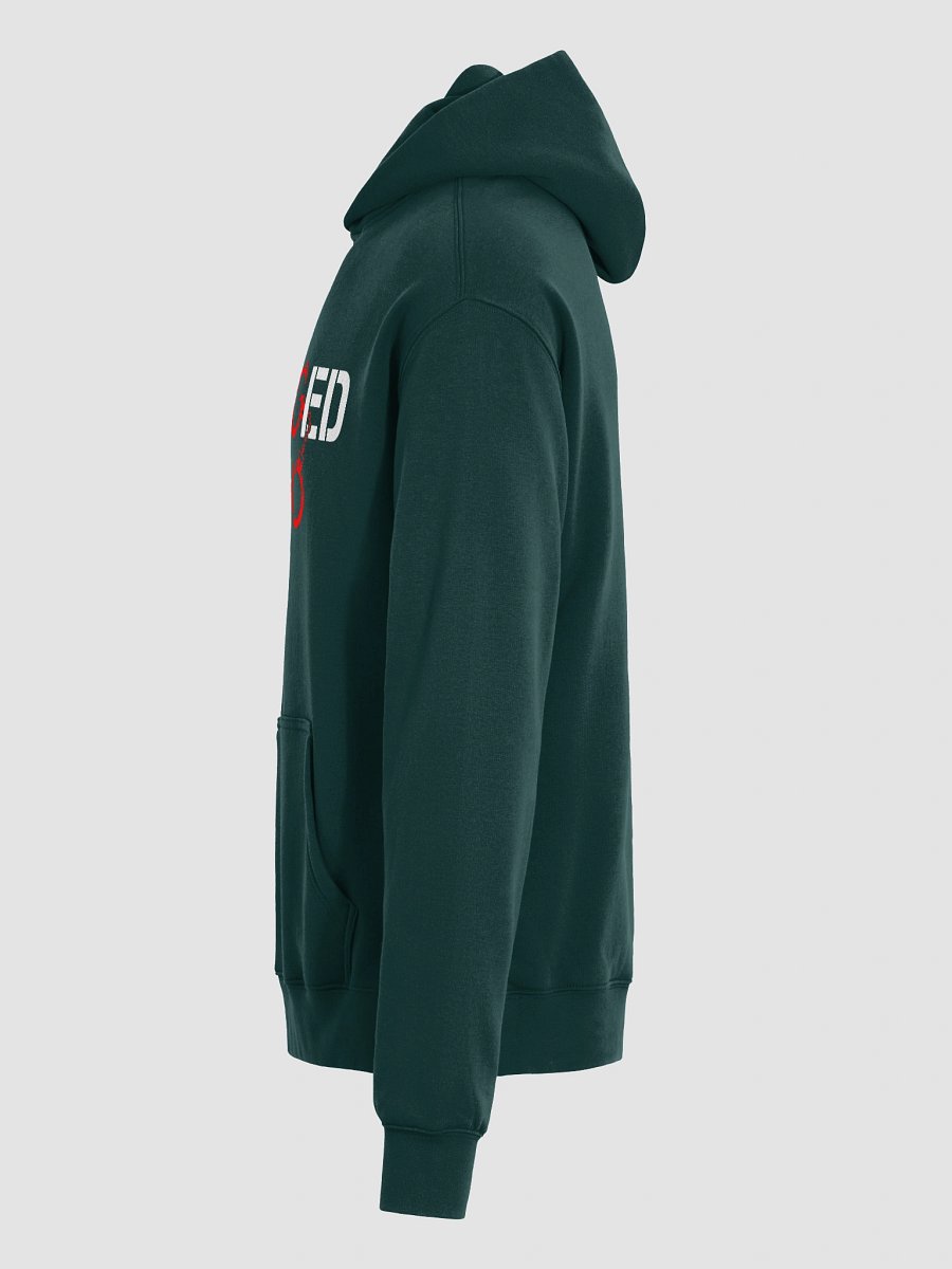 Over-Sized Unhinged Hoodie product image (6)