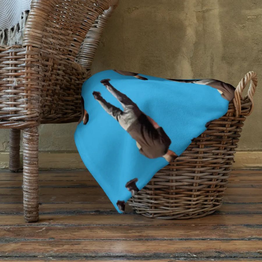 JOSH PEE BLANKET product image (22)
