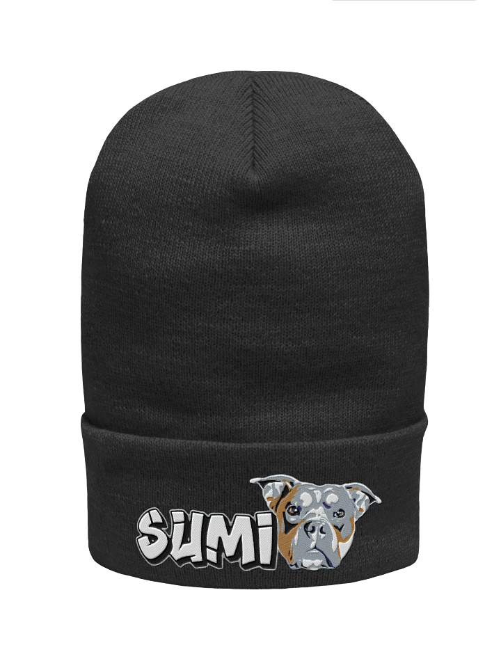 Sumi Head | Beanie product image (2)