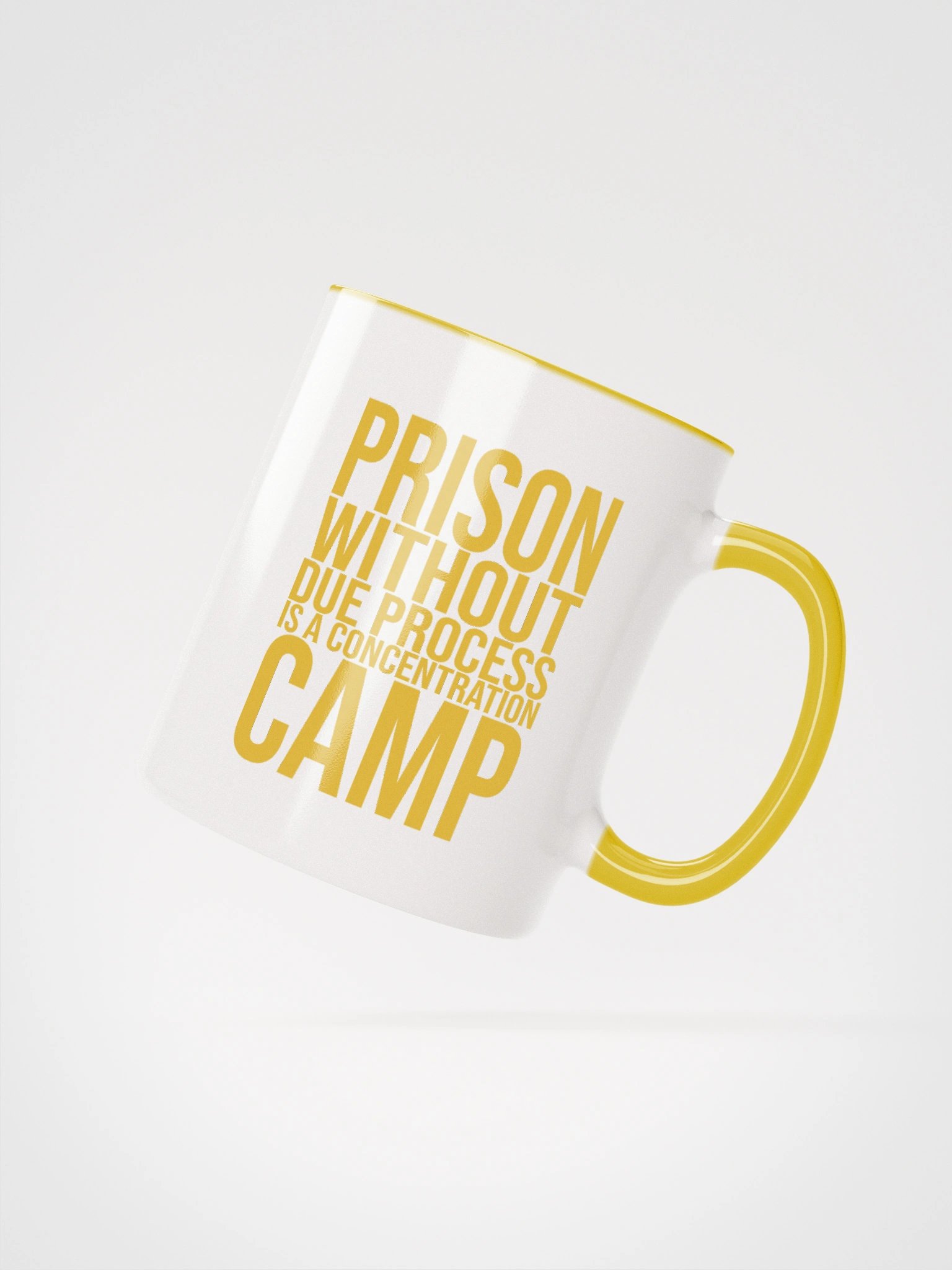 Due Process Concentration Camp Mug- Being Liberal product image (2)