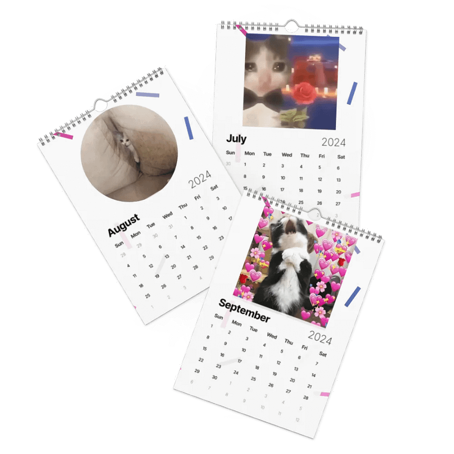 Wall Calendar (2024): Meme Cats product image (11)