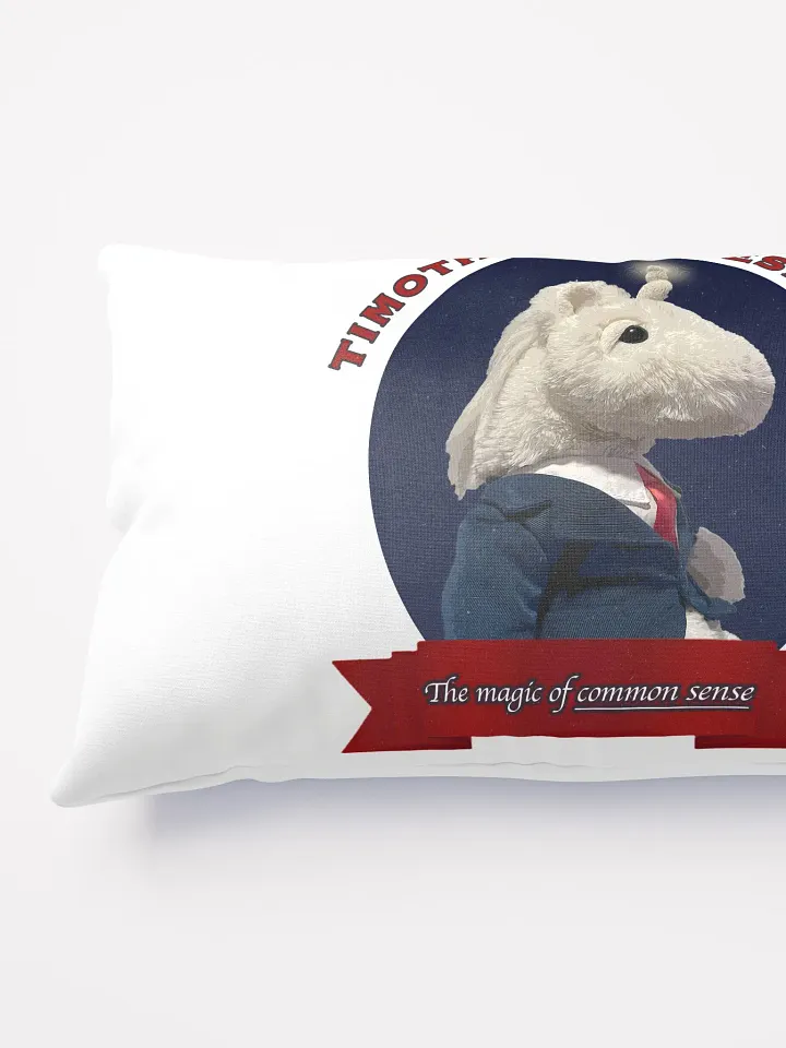 Timothy for President - Pillow product image (2)