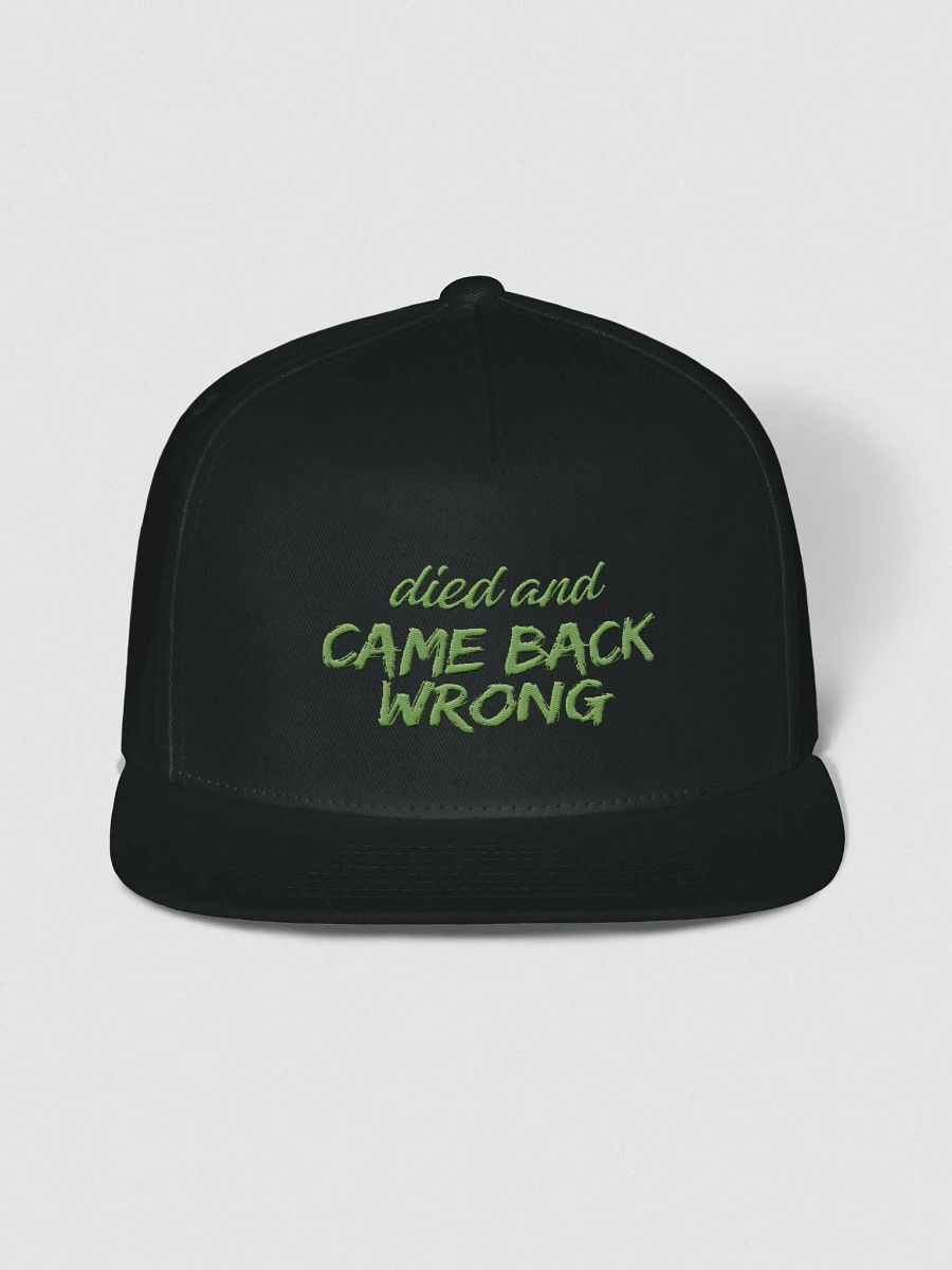 Died and Came Back Wrong Snapback product image (1)