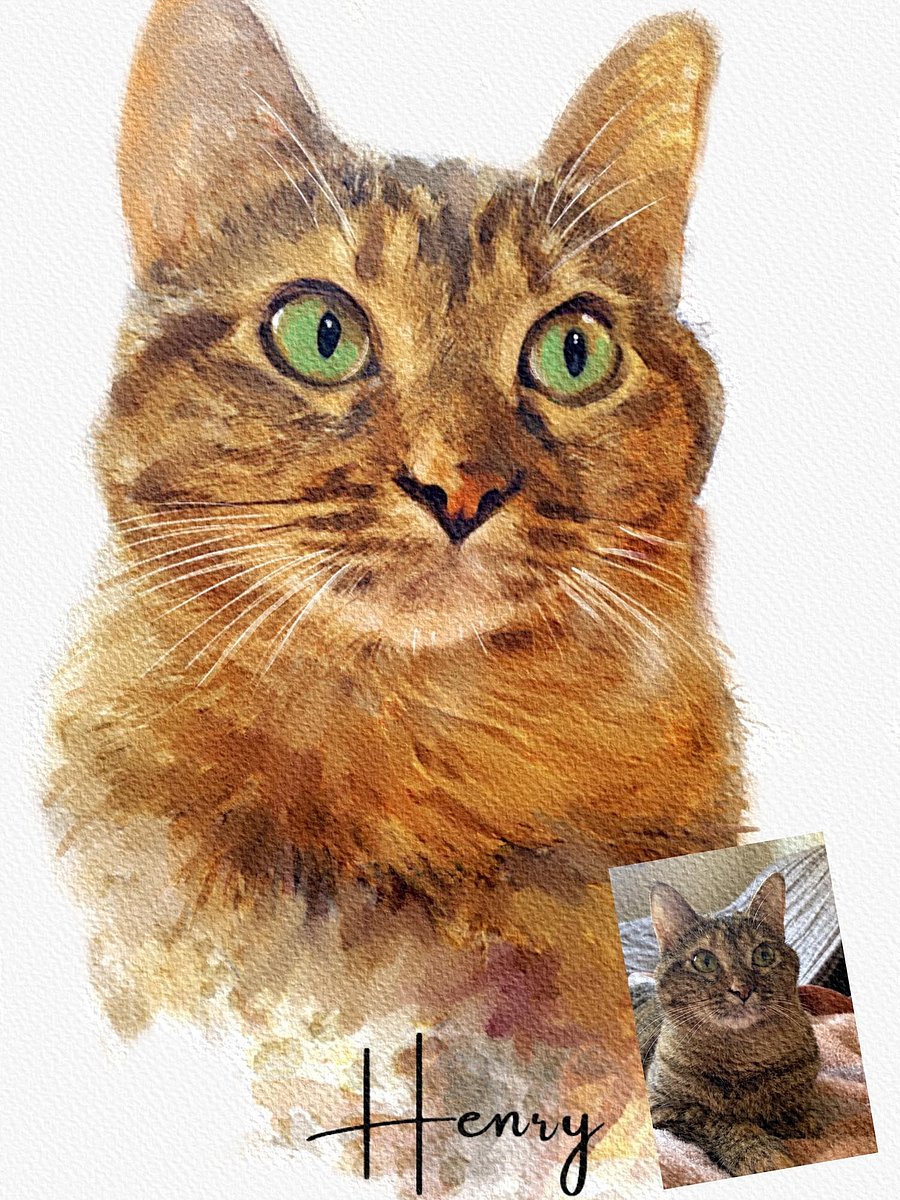 🐾 Individuelles Tierporträt nach Foto – Digitales Kunstwerk product image (1)