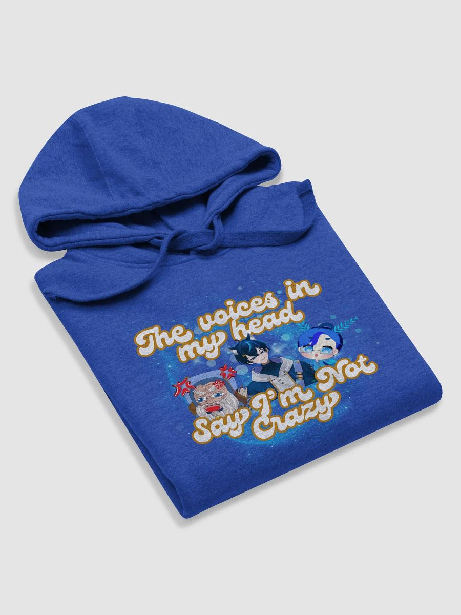 I'm Not Crazy Hoodie product image (23)