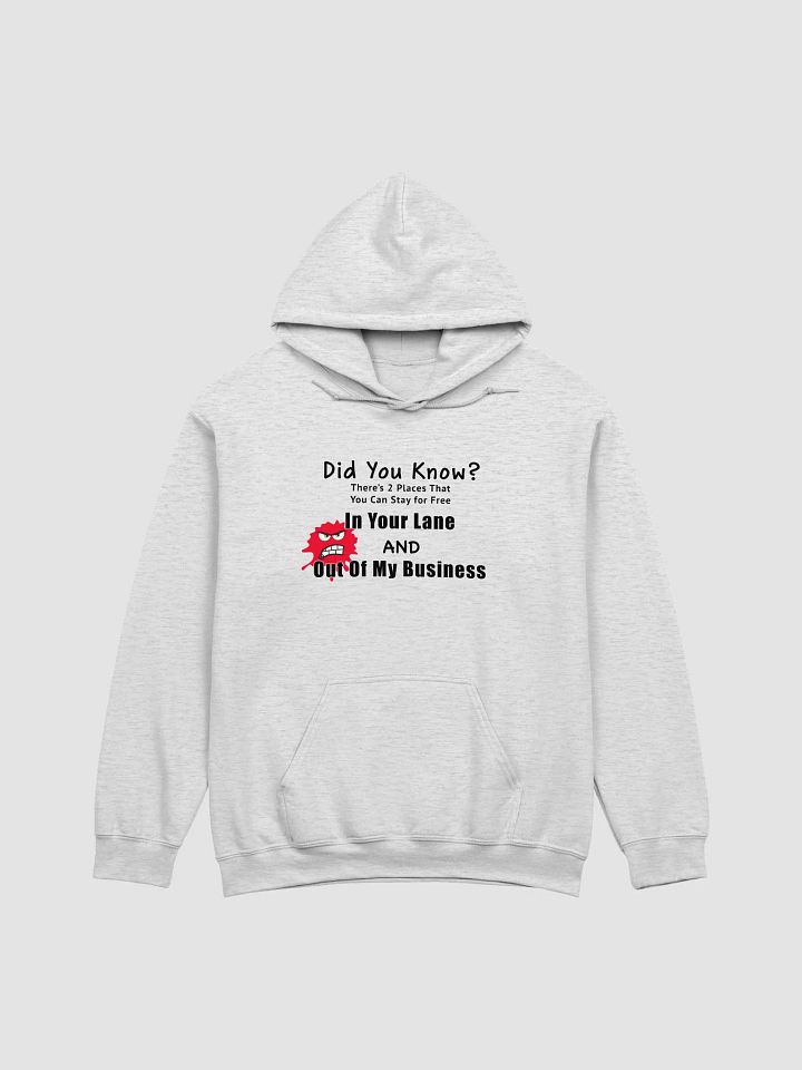 Did you Know Hoodie product image (1)