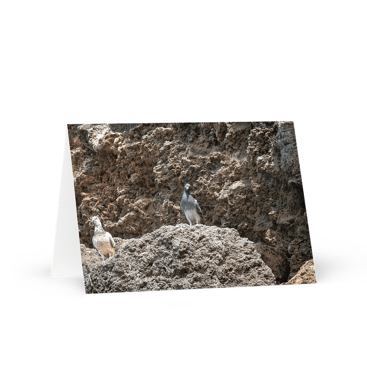 Curious Birds Greeting Card product image (1)