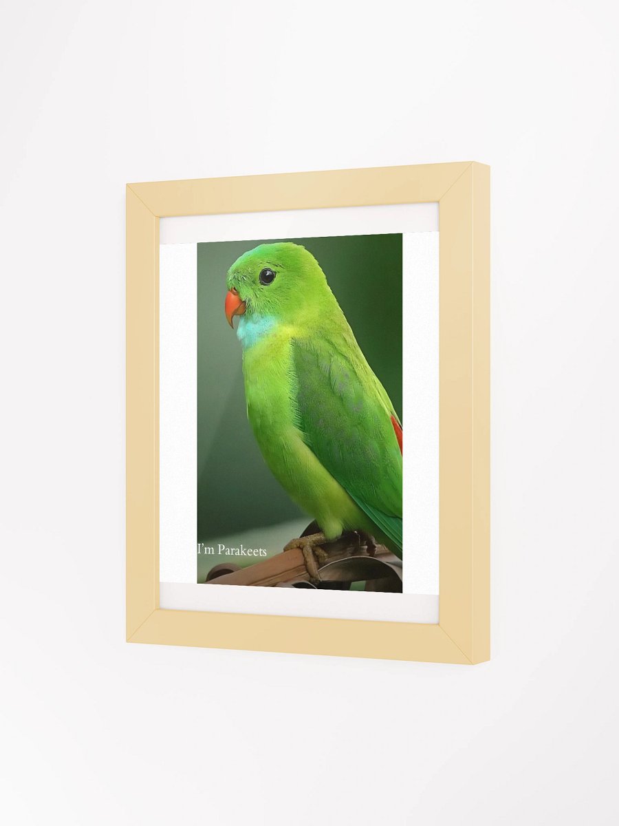 Framed High-Quality Matte Poster (in) Parakeets product image (38)