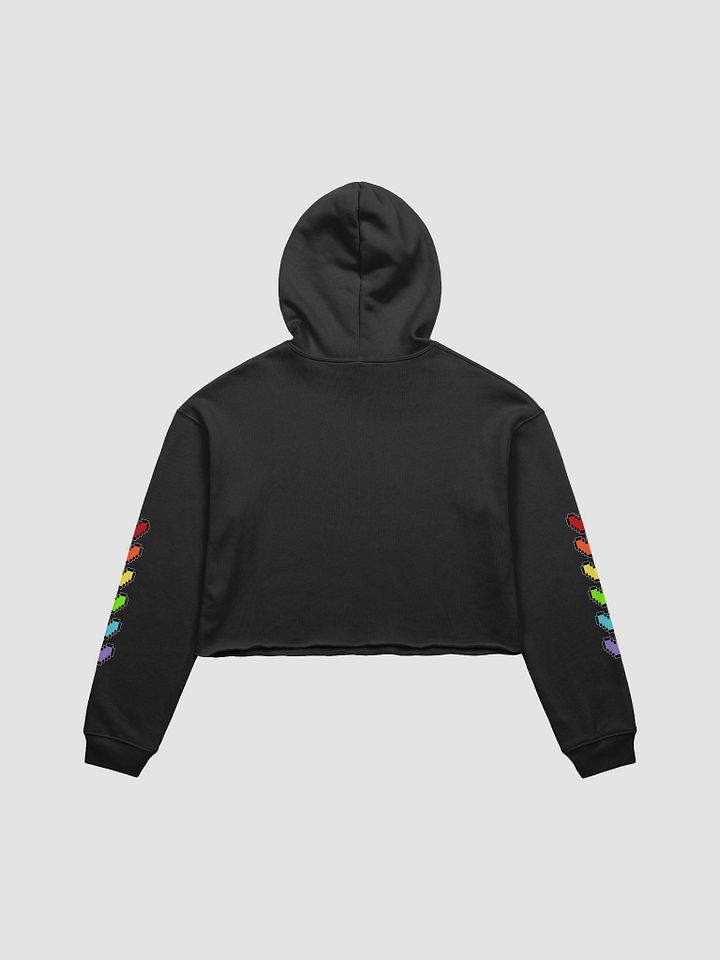 Y'all Means All - Crop Top Pride Hoodie product image (2)