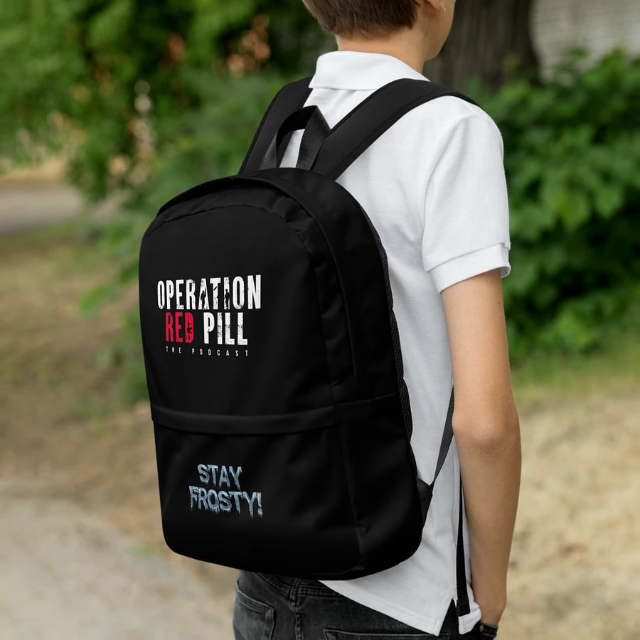 “Stay Frosty” Backpack product image (15)