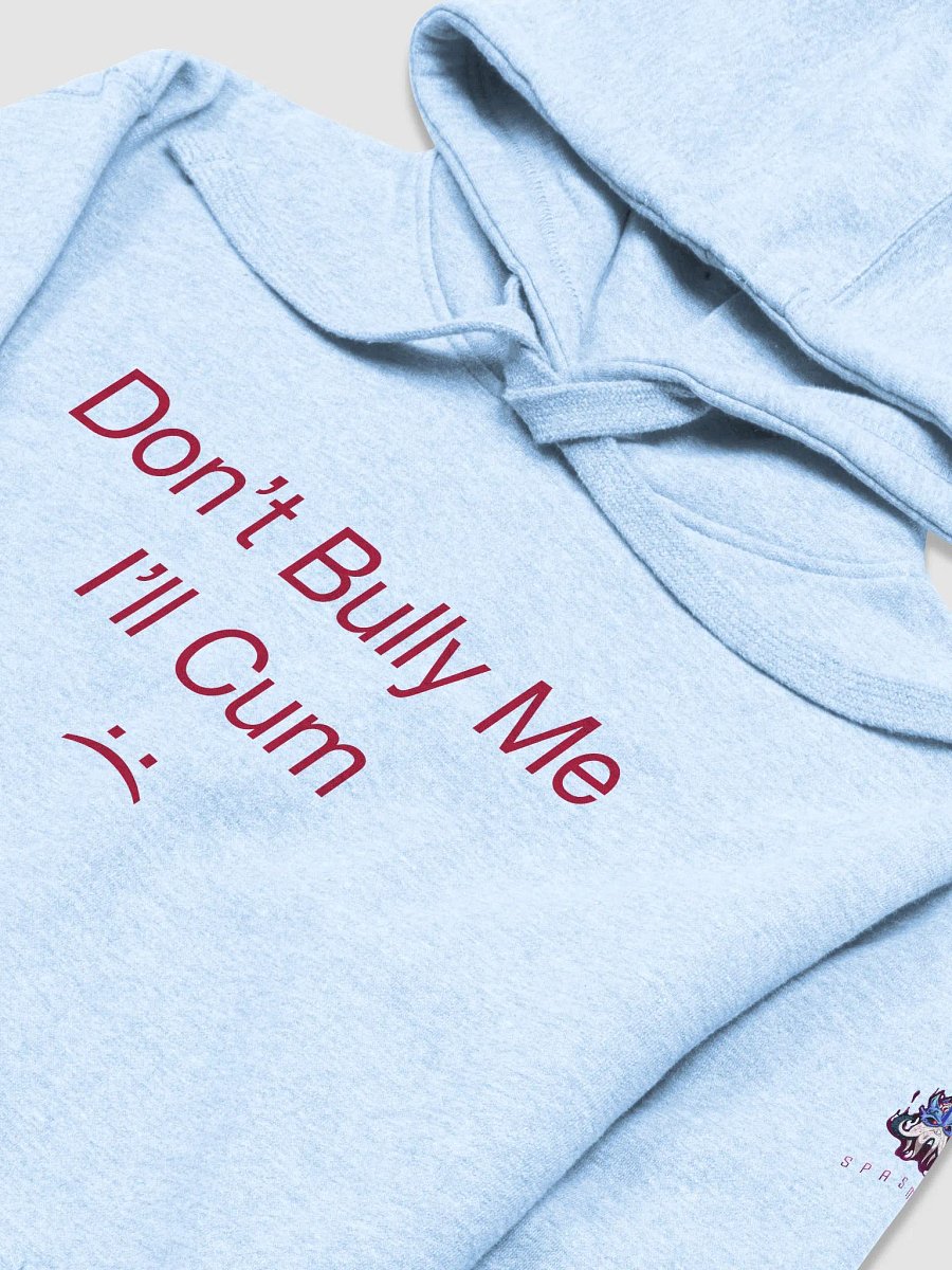 Bully Hoodie Light product image (3)