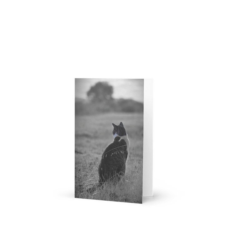 Pawspective Greeting Card product image (1)