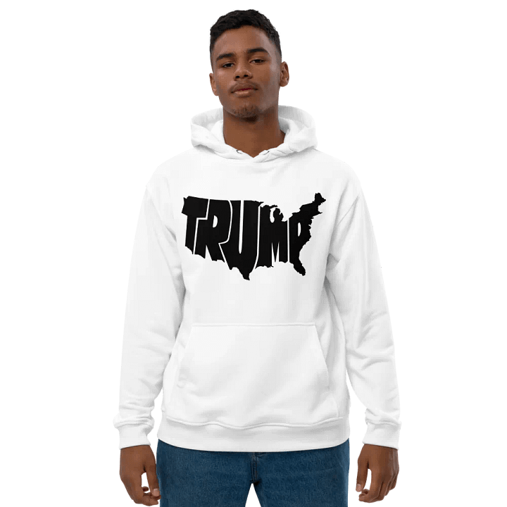 Landmark USA Hoodie product image (1)
