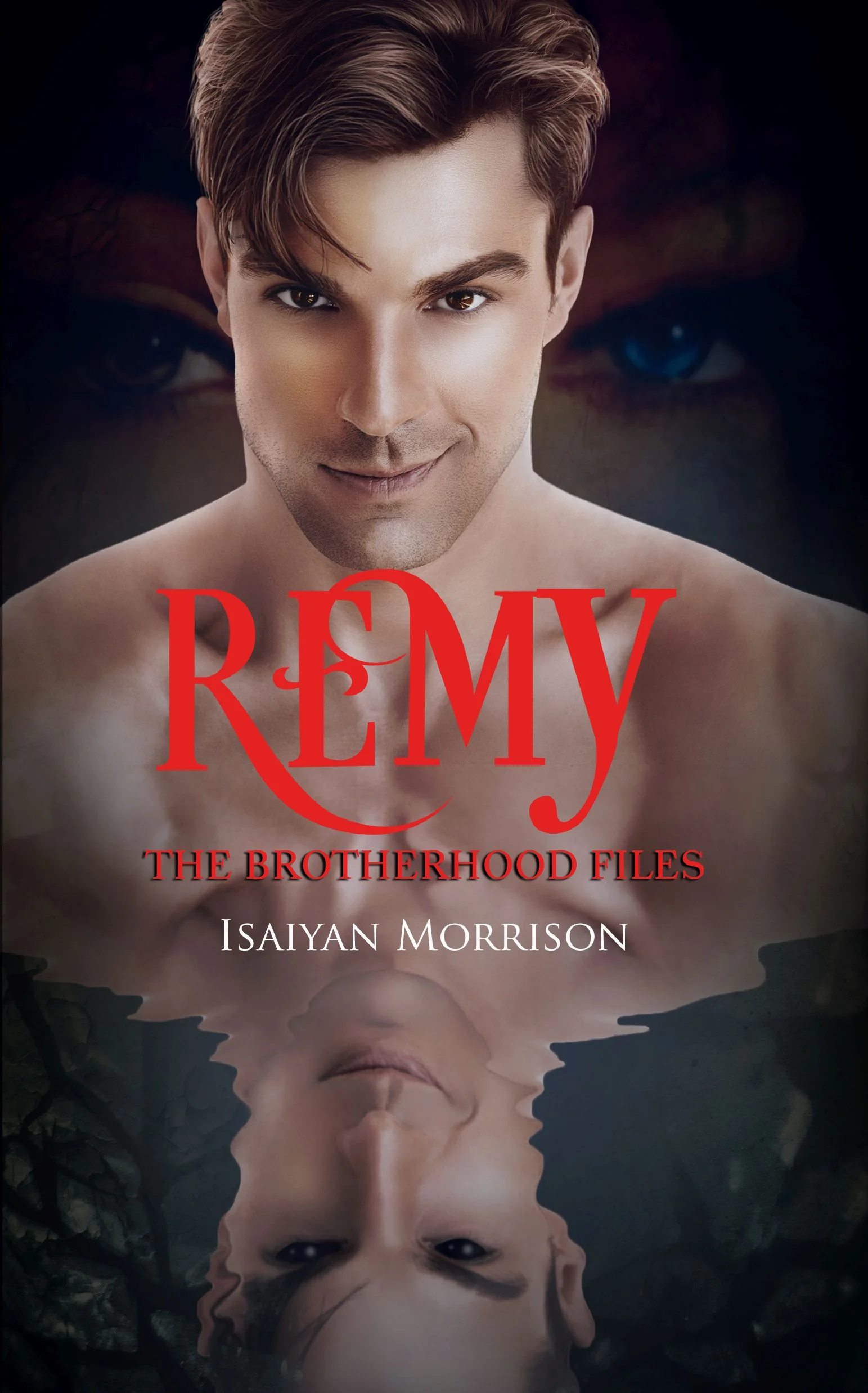 Remy. The Brotherhood Files product image (1)