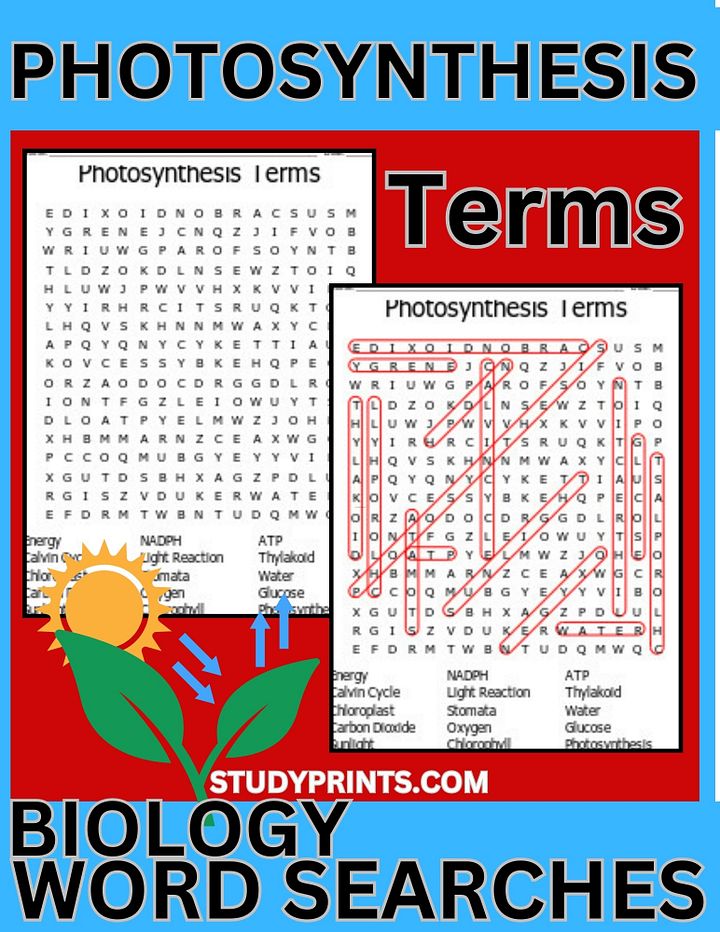 Photosynthesis Word Search - Science Vocabulary product image (1)