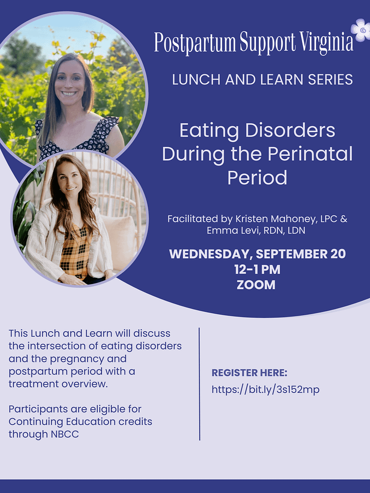 Professional Training: Eating Disorders During the Perinatal Period product image (1)