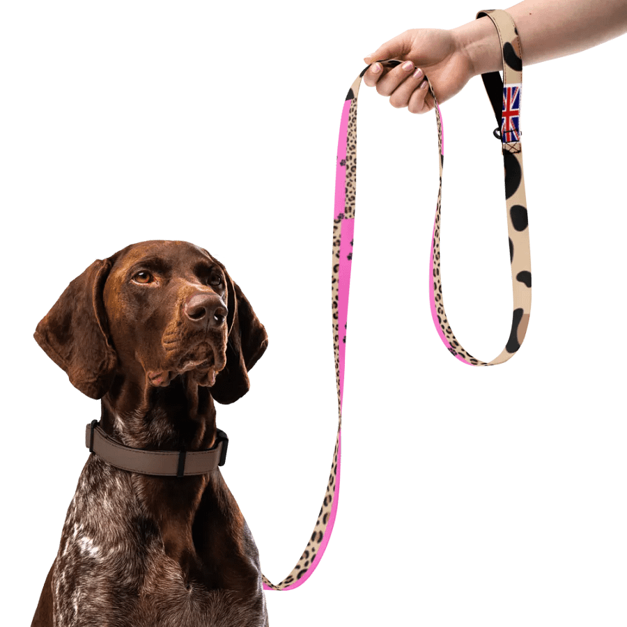 Psychedelic Leopard and Paw Print Pet Leash - Customizable Design product image (7)