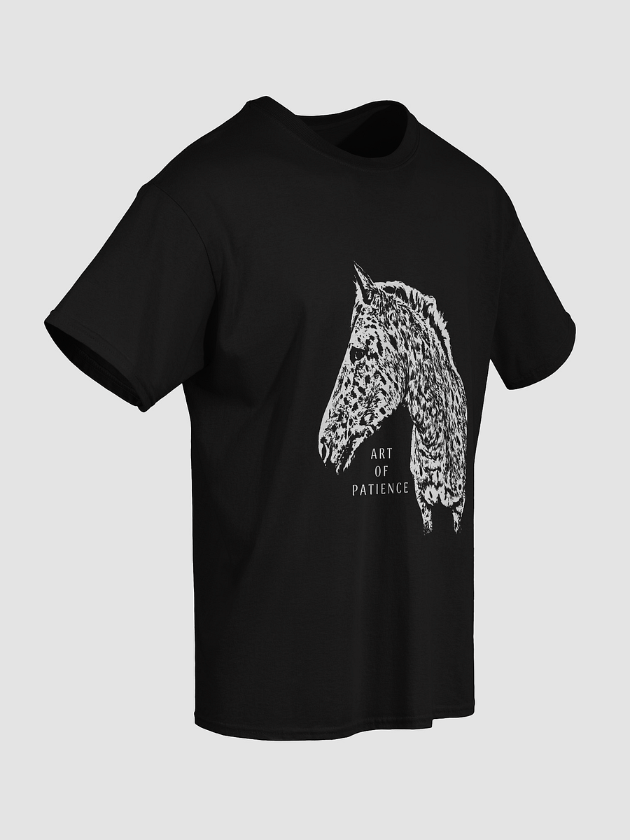 Art of Patience product image (4)