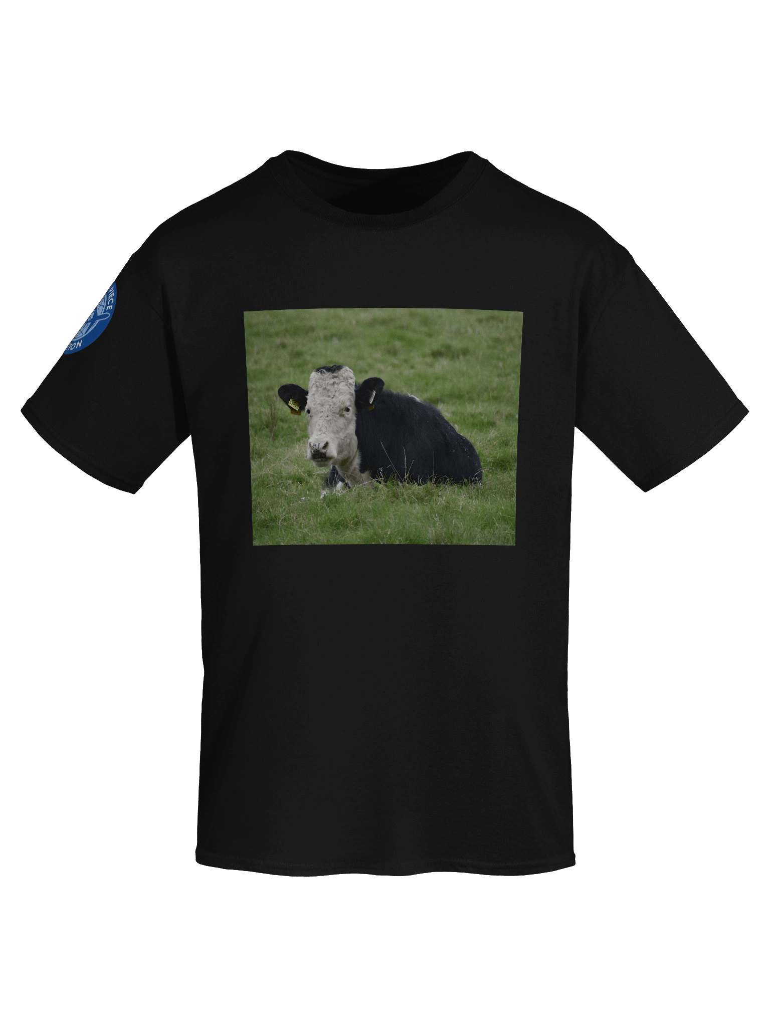 Cute Curly Cow T-Shirt product image (46)
