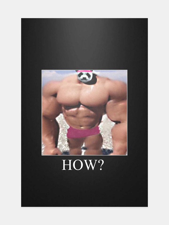 Peak Performance Meme Poster! product image (1)
