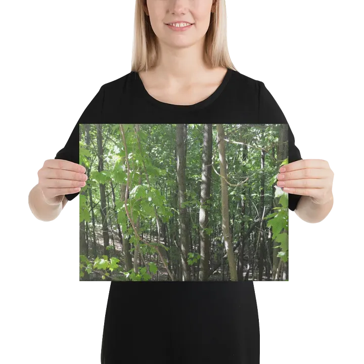 Empire Bluff Forest Canvas product image (2)