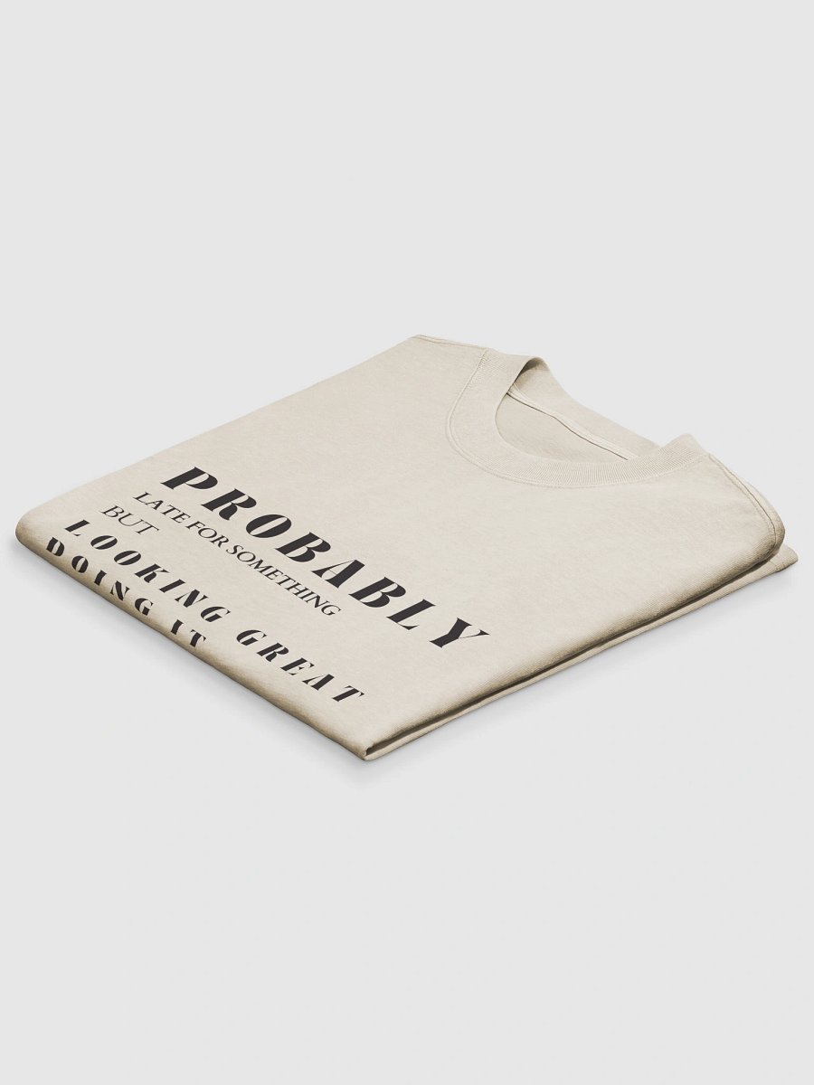 Nostalgic Elegance Faded 'Probably Late But Looking Great' T-Shirt product image (4)