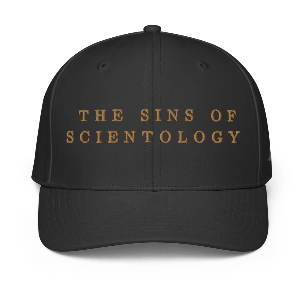 Embroidered Sins Performance Cap product image (5)