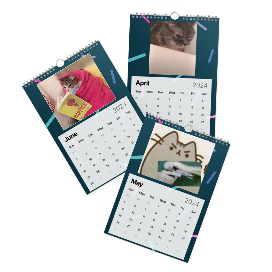 Wall Calendar (2024): Meme Cats product image (3)