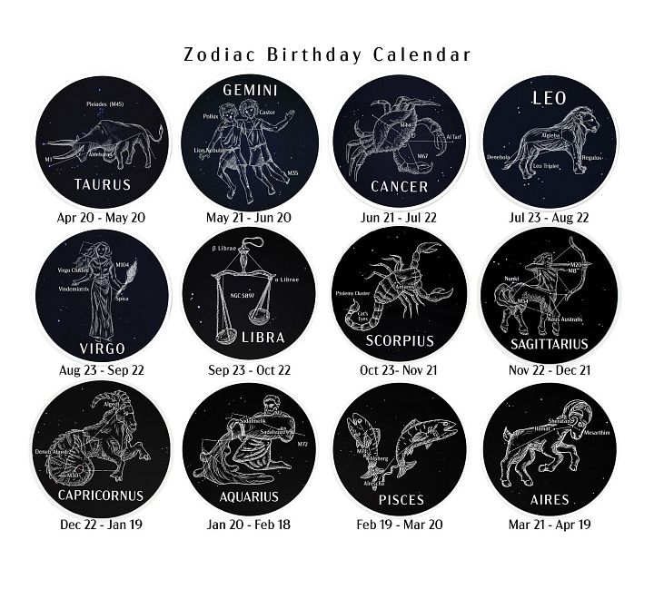 Zodiac Constellaton Sticker product image (2)