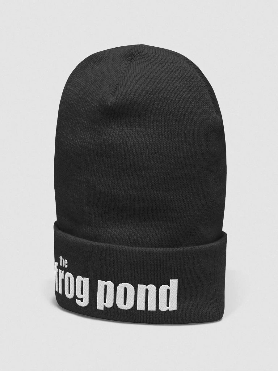The Frog Pond Beanie product image (14)