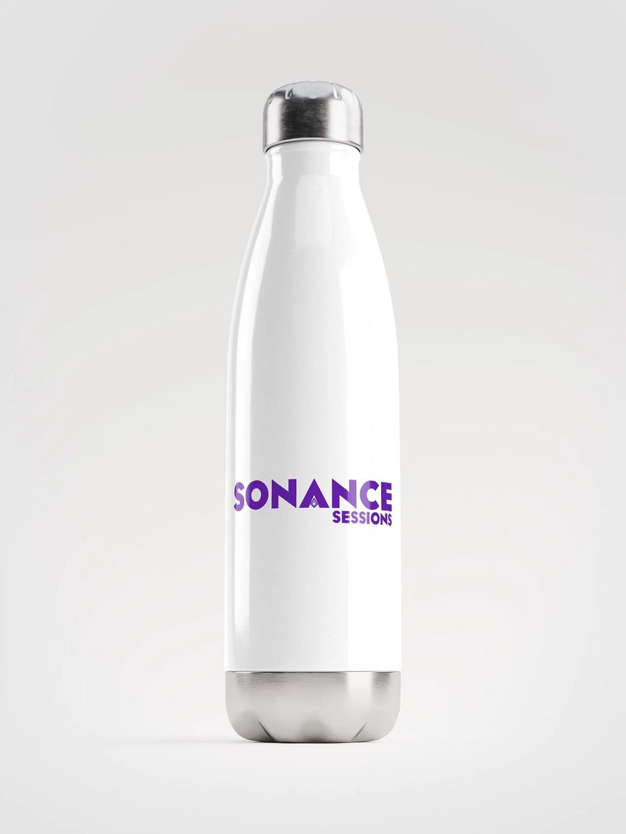 Copy of Stainless Steel Water Bottle product image (1)