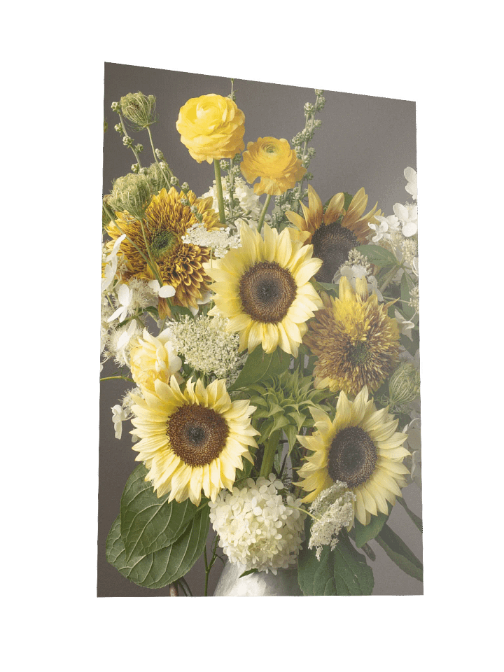 White Sunflower Summer product image (2)