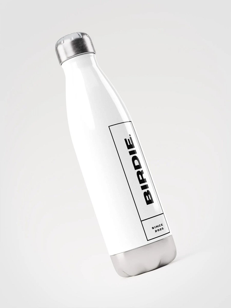 Stainless Steel Insulated Water Bottle product image (3)