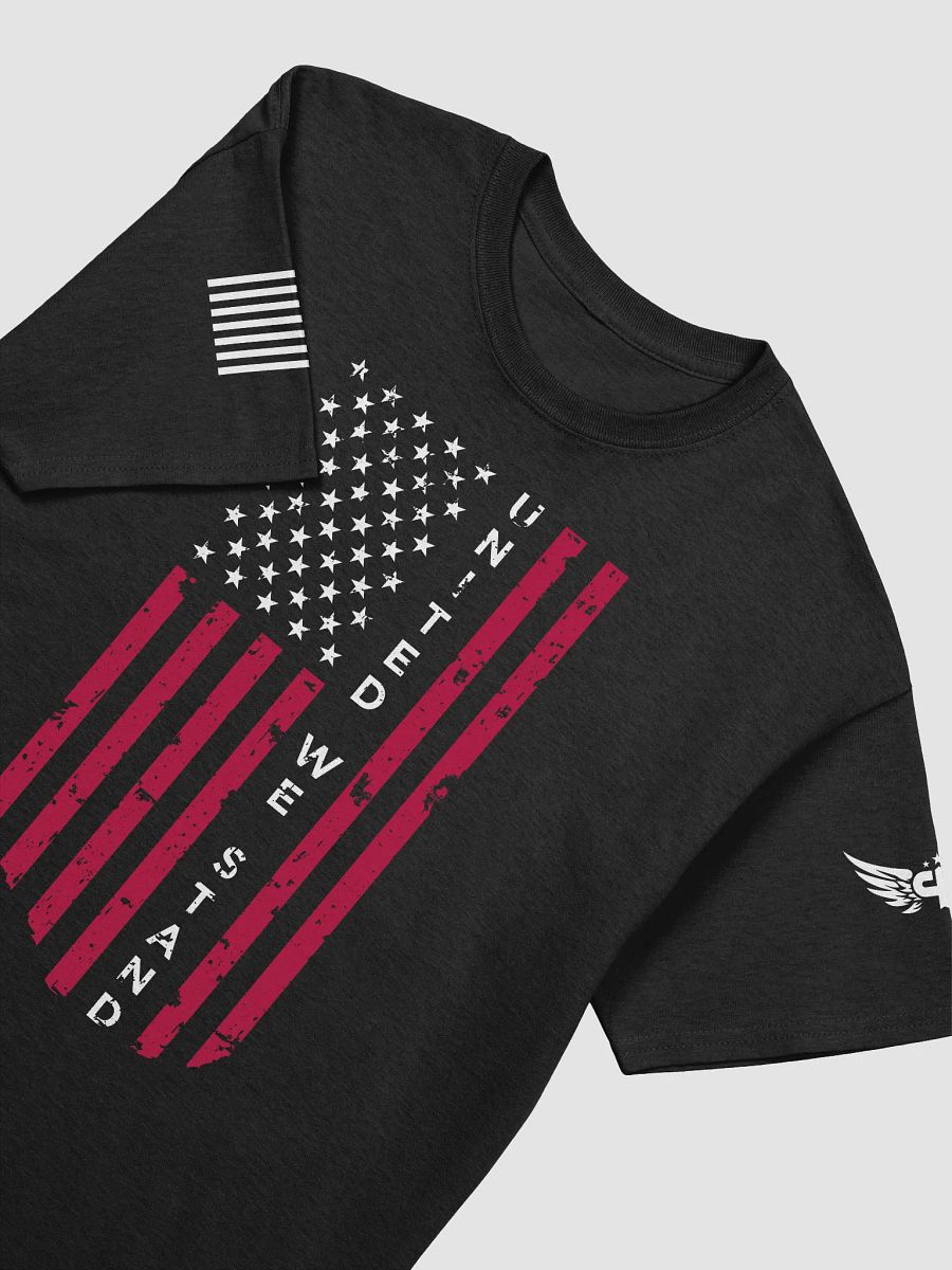 United We Stand - PositivePatriots™ Heavyweight T-Shirt product image (3)
