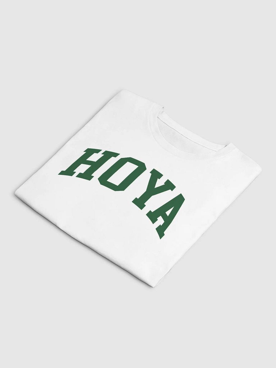 HOYA varsity crop top product image (7)