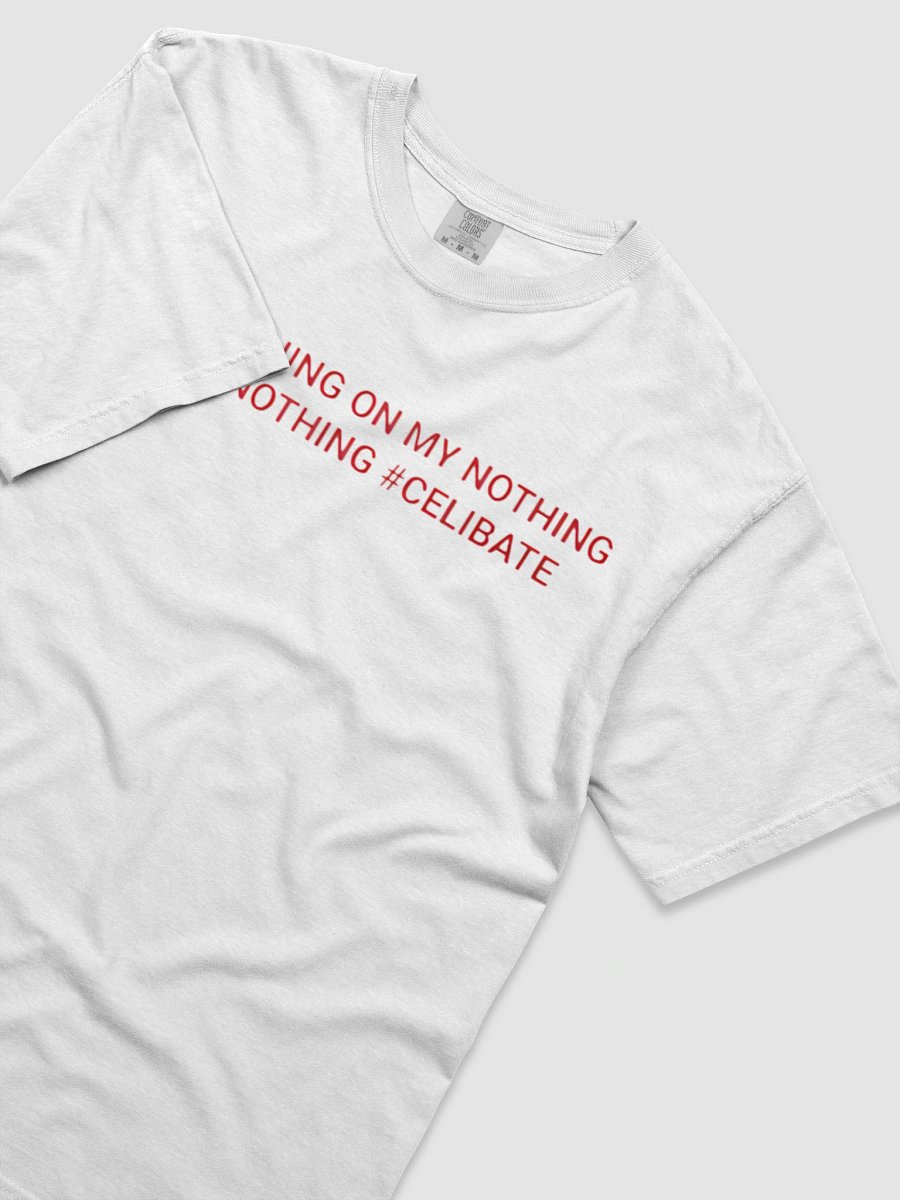 SHE NOTHING ON MY NOTHING TILL I NOTHING #CELIBATE SHIRT product image (4)