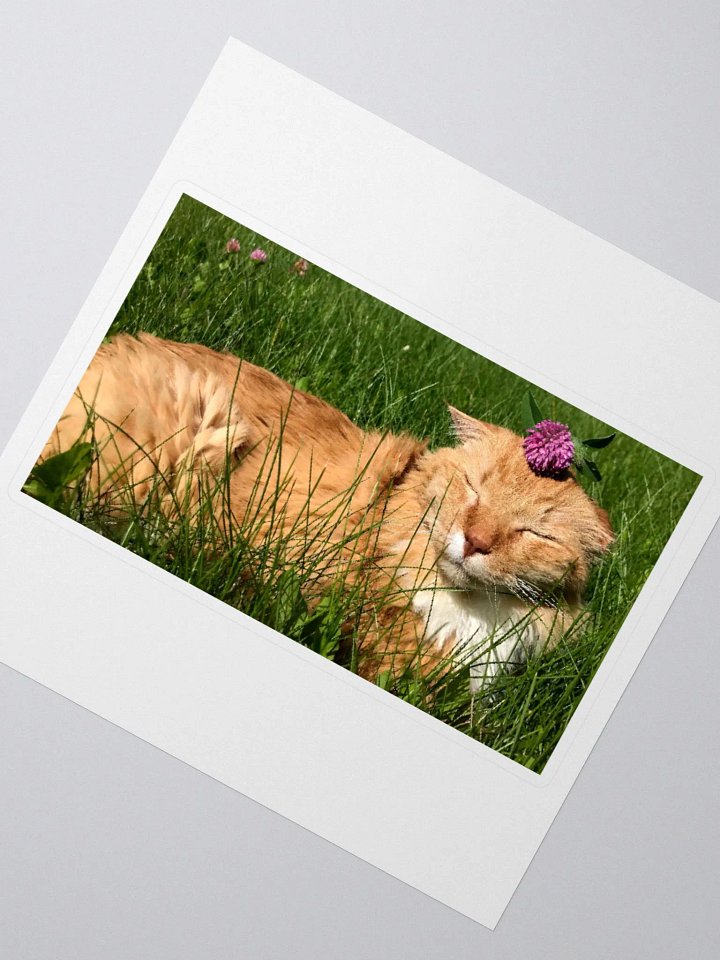 Clover Boy Sticker product image (2)