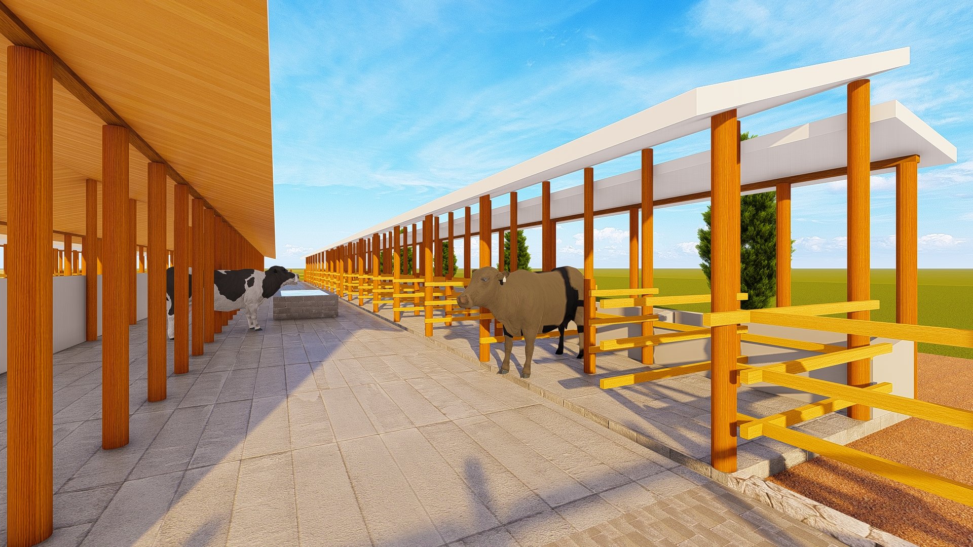 70 Dairy Cows Design Plan product image (3)