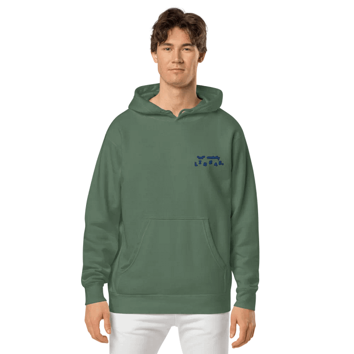 *not* mentally linear (L.C. lake design) embroidered pigment hoodie product image (13)