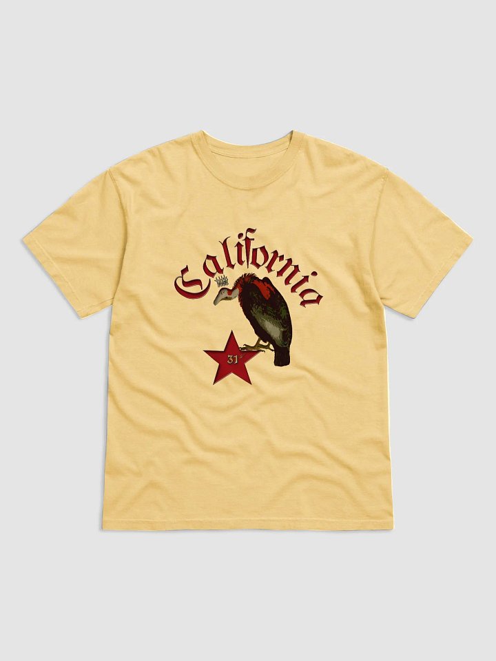 California Vulture product image (2)